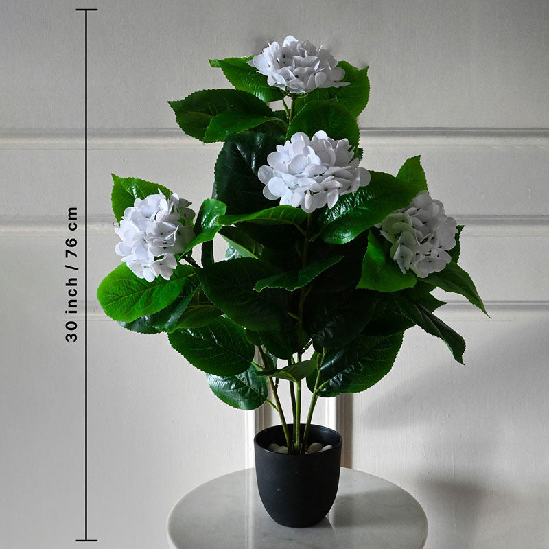 Faux Everlasting Hydrangea Plant With Black Plastic Pot (White) - 76 cm (2.5 ft) media 5