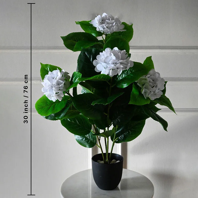 Faux Everlasting Hydrangea Plant With Black Plastic Pot (White) - 76 cm (2.5 ft) media 5