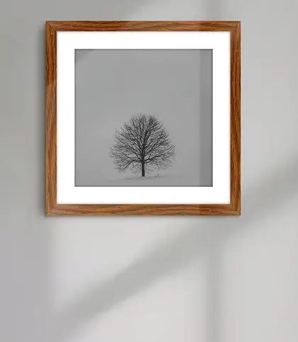 Wood