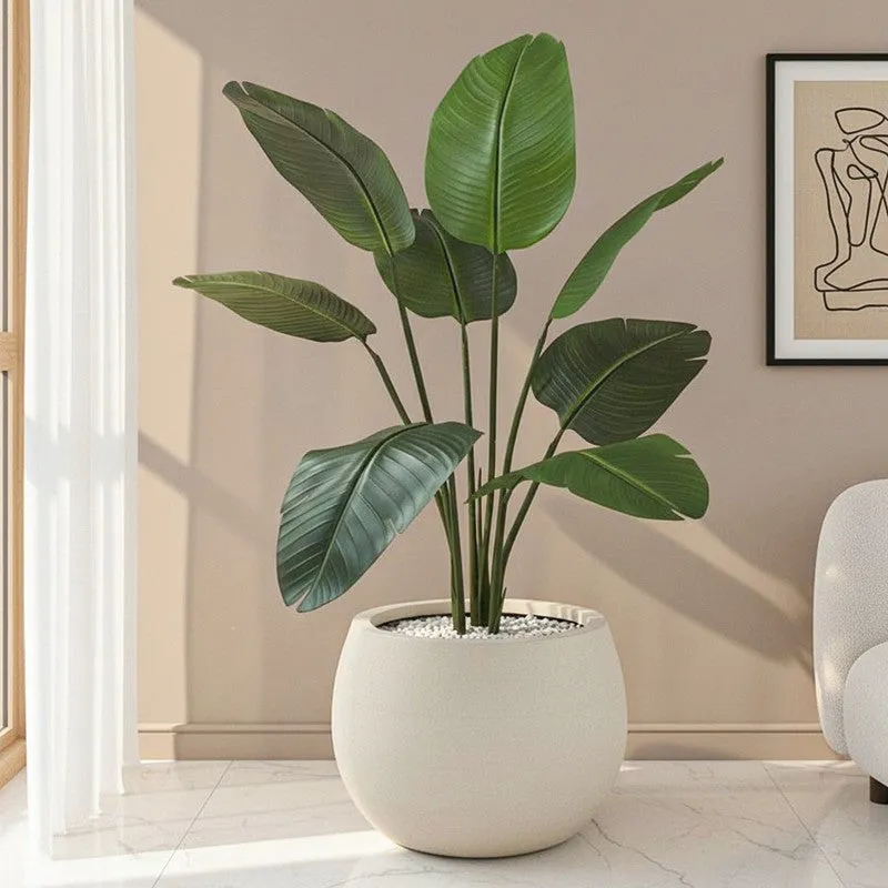 Tropiva Banana Leaf Palm Plant With Black Plastic Pot - 3.6 ft media 1