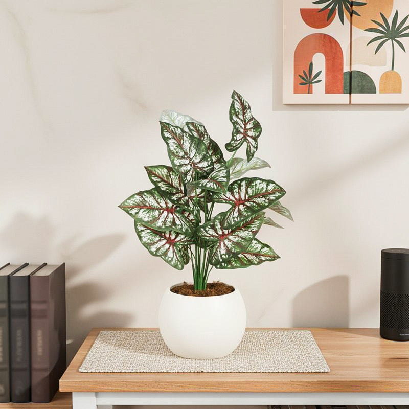 Faux Lush Caladium Plant With Black Plastic Pot - 2.3 Feet