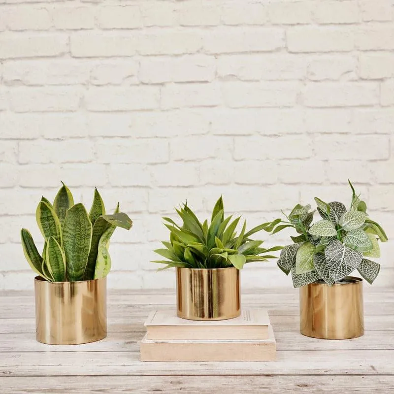 Maude Metal Planter - Set Of Three media 3