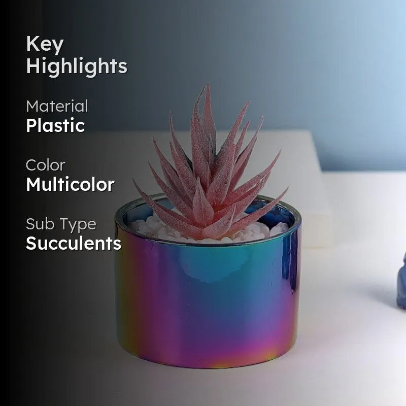 Faux Succulent In Ombre Pot - 11 cms media 2