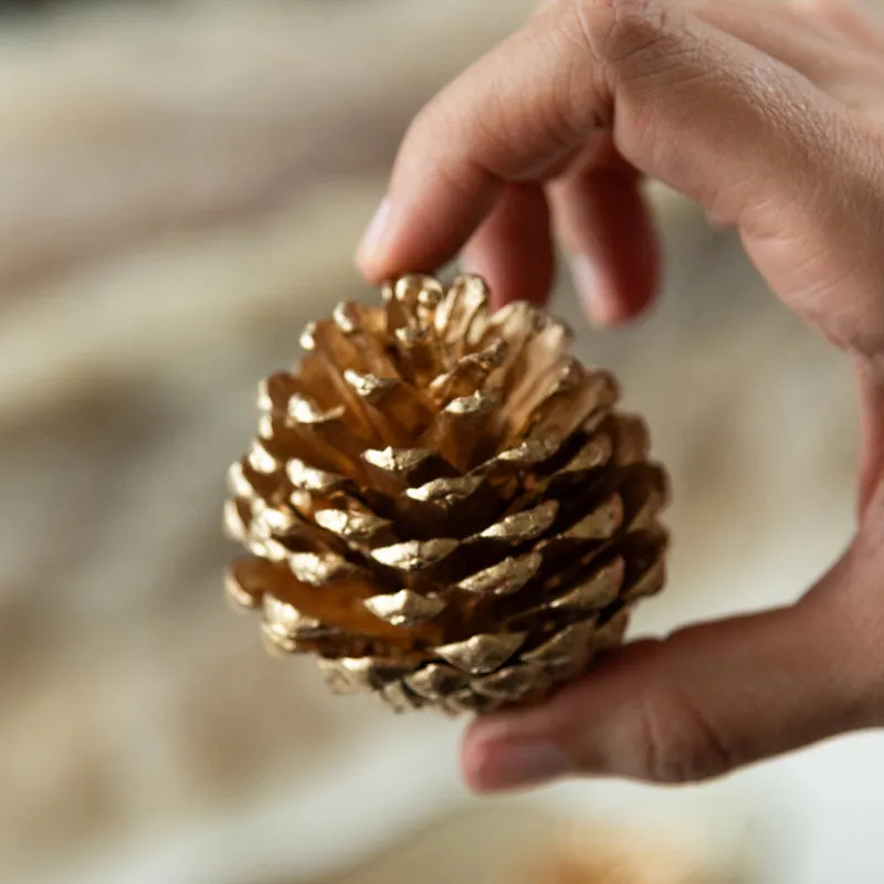Misori Sola Wood Corn - Set Of Ten media 3