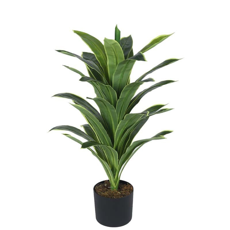 Faux Lush Dracaena Reflexa Plant With Black Plastic Pot -  2.8 Feet media 4