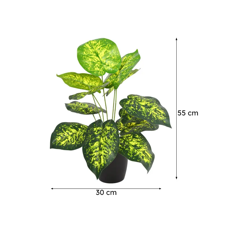 Differa Artificial Dieffenbachia Plant With Black Plastic Pot (1.8 Feet) - Yellow, Green media 6