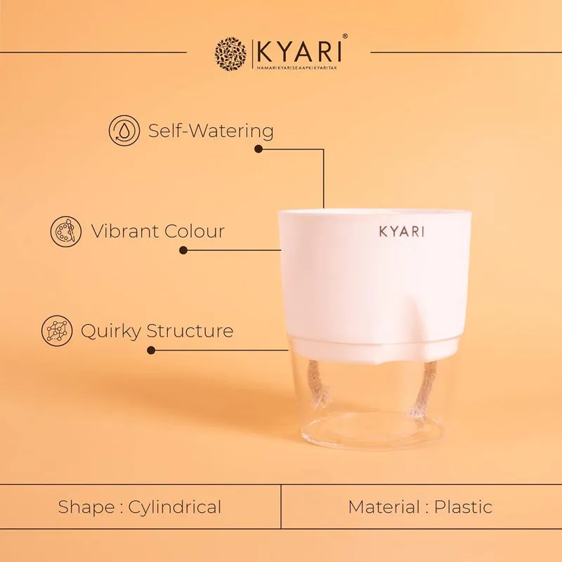 Kyari Viridian Plastic Self-Watering Pot (Multicolor) - Set Of Six media 4