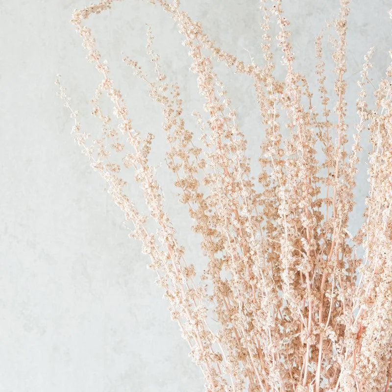 Yinira Naturally Dried Stag Grass media 5