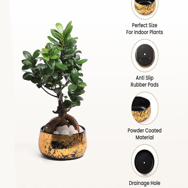 Zima Metal Planter media 7