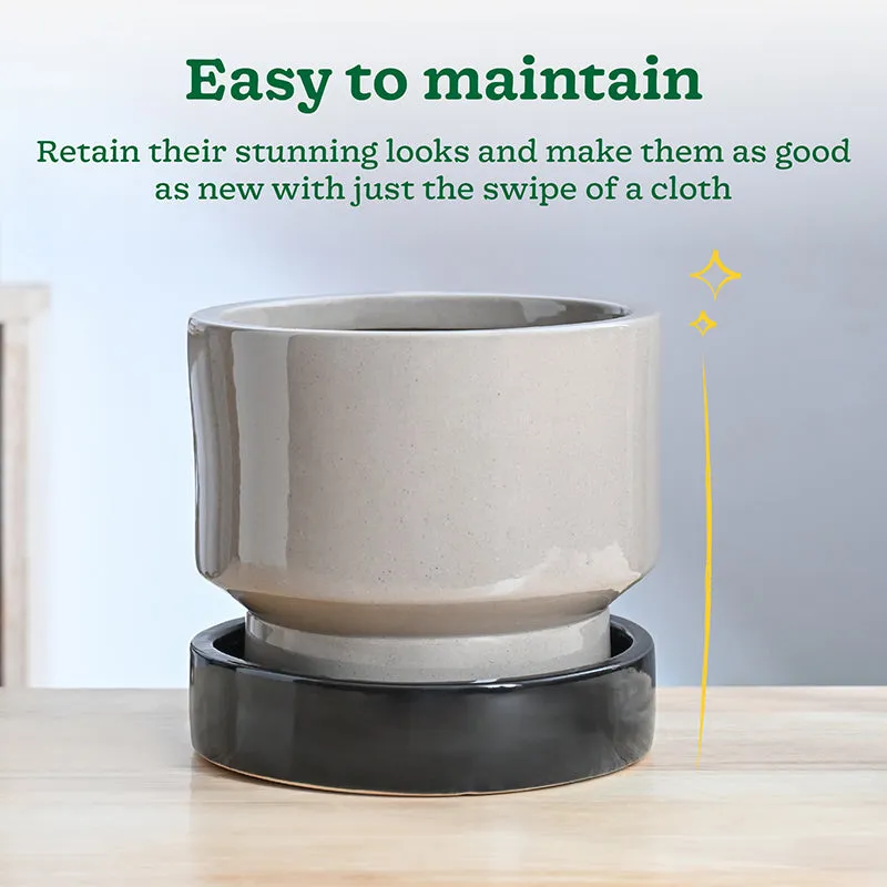 Ugaoo Pot-fection Ceramic Planter - Black media 5