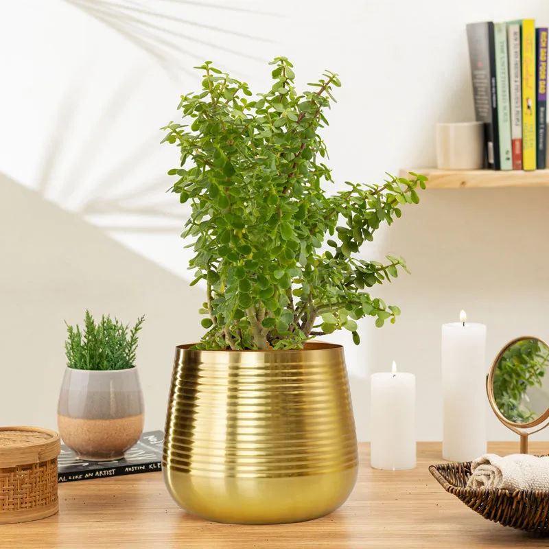 Auric Metal Golden Ribbed Planter media 2