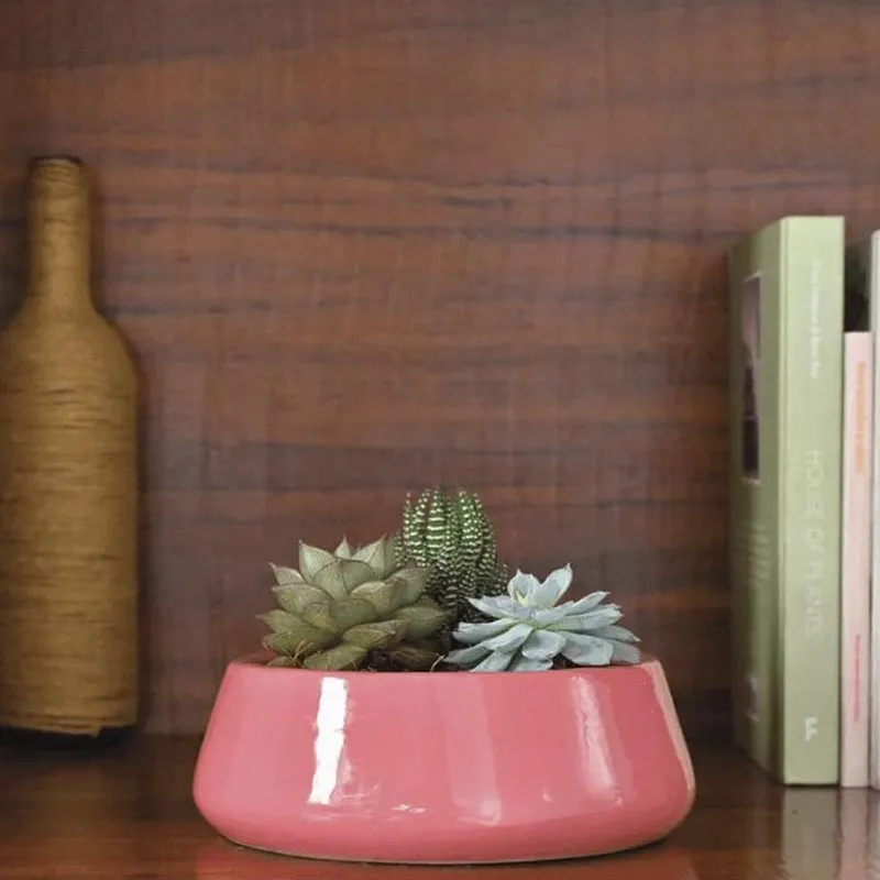 Ugaoo Tulip Fantasy Ceramic Planter (19 CM) - Magenta media 3