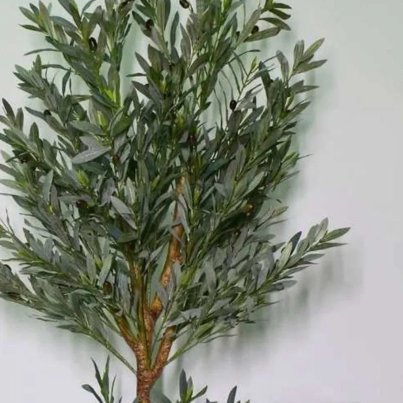 Artificial Olive Plant Without Pot - 5.2 Feet media 5
