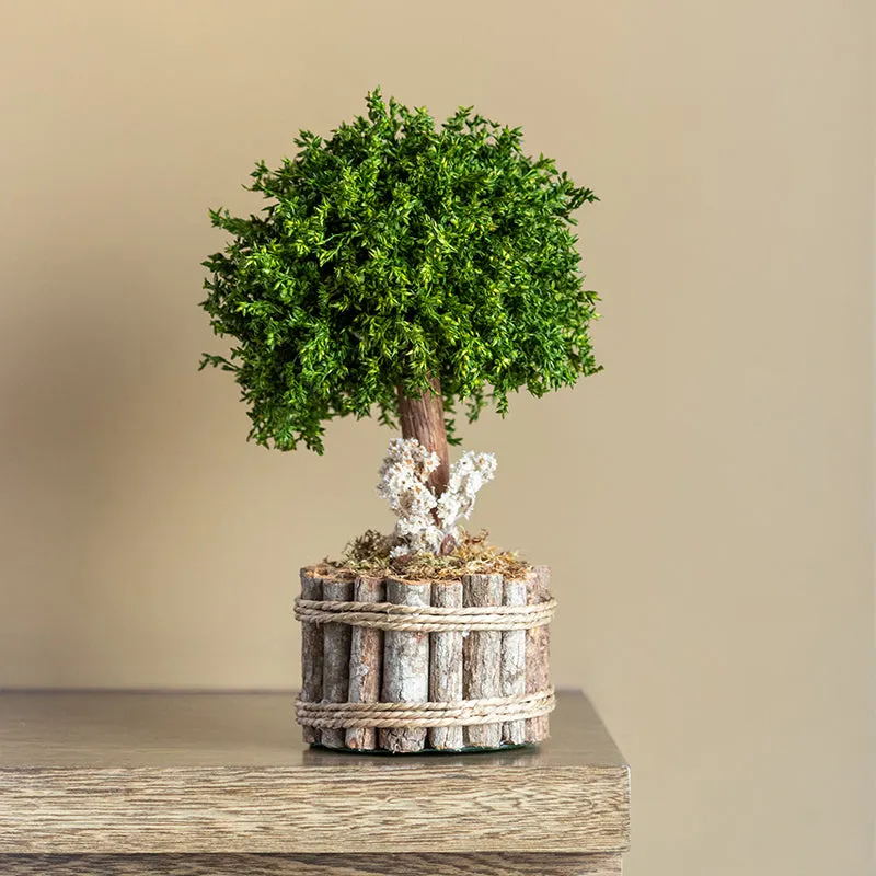 Leafstill Artificial Bonsai Plant media 1