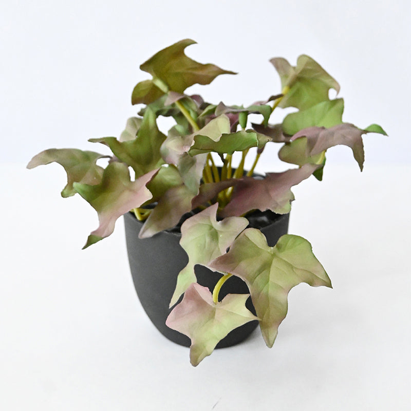 Ivella Artificial Mini Ivy Plant With Black Plastic Pot (Purple) - 14 cm media 7
