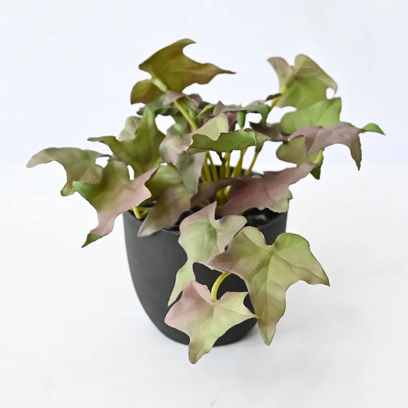 Ivella Artificial Mini Ivy Plant With Black Plastic Pot (Purple) - 14 cm media 7