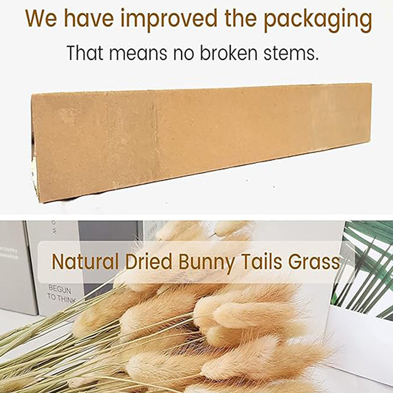 Cloudtail Dried Bunny Tail Stem (Beige) - Set Of Sixty media 5