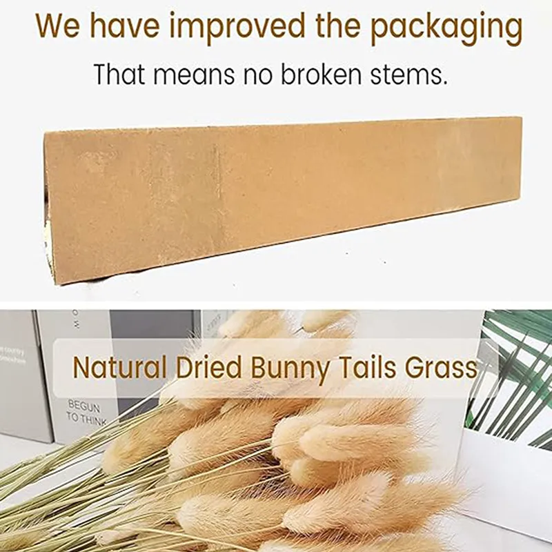 Cloudtail Dried Bunny Tail Stem (Beige) - Set Of Sixty media 5
