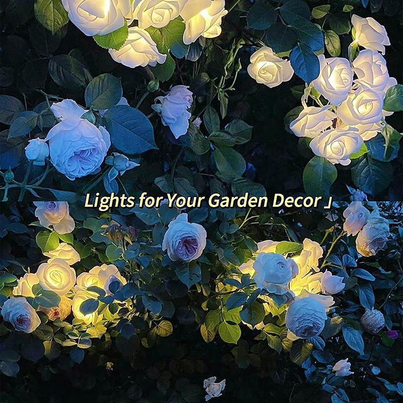 Rose Elegance String Light media 7