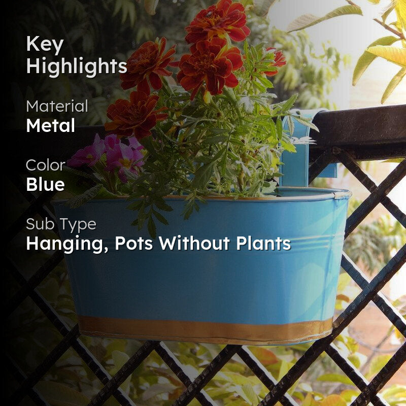 Norva Hanging Planter (Blue) - Set Of Six media 2