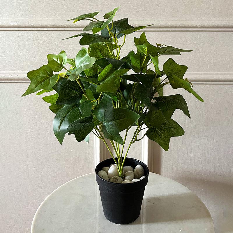 Faux Everlasting Japanese Ivy Plant With Black Plastic Pot - 48 cm media 3