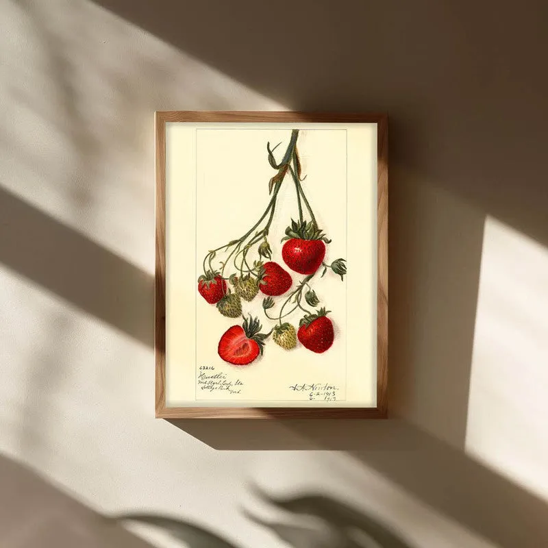 Sweet Citrus Archival Canvas Wall Art - Brown media 3