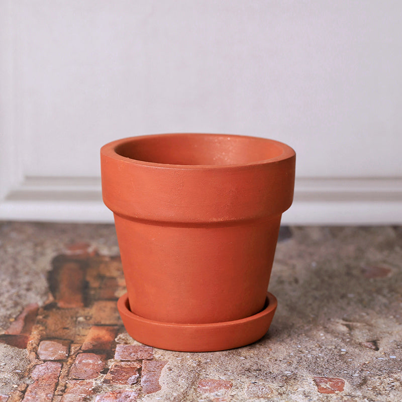 Rusticana Terracotta Planter - Set Of Two media 3