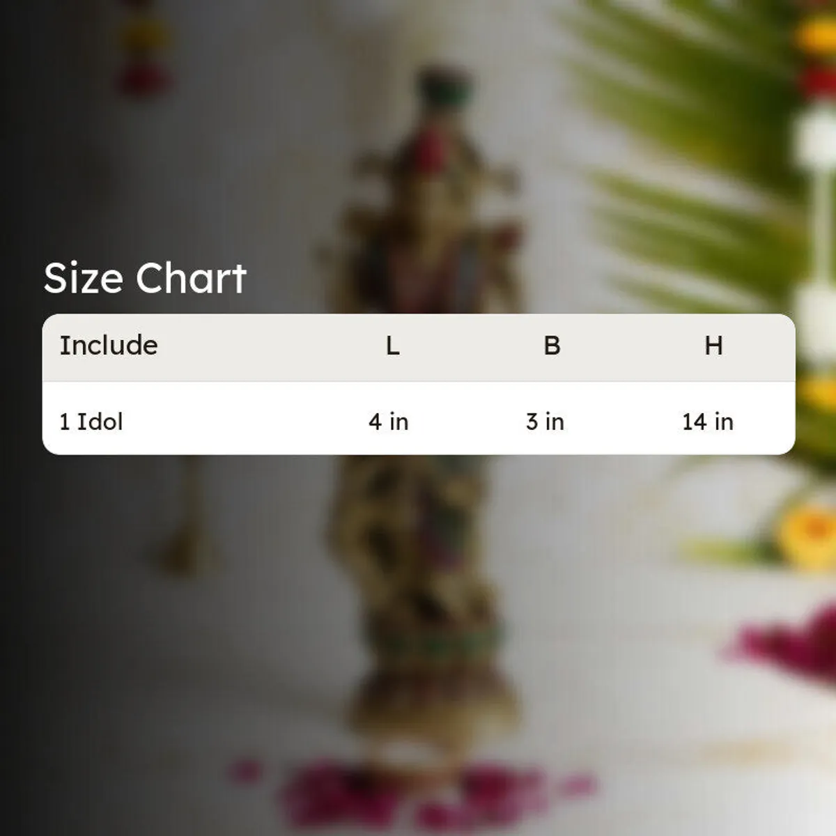 Size chart image for one idol