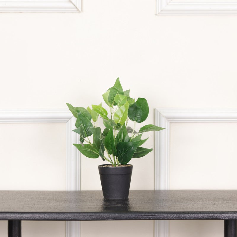 Artificial Pothos Plant With Black Fiber Pot - 0.9 Feet media 3