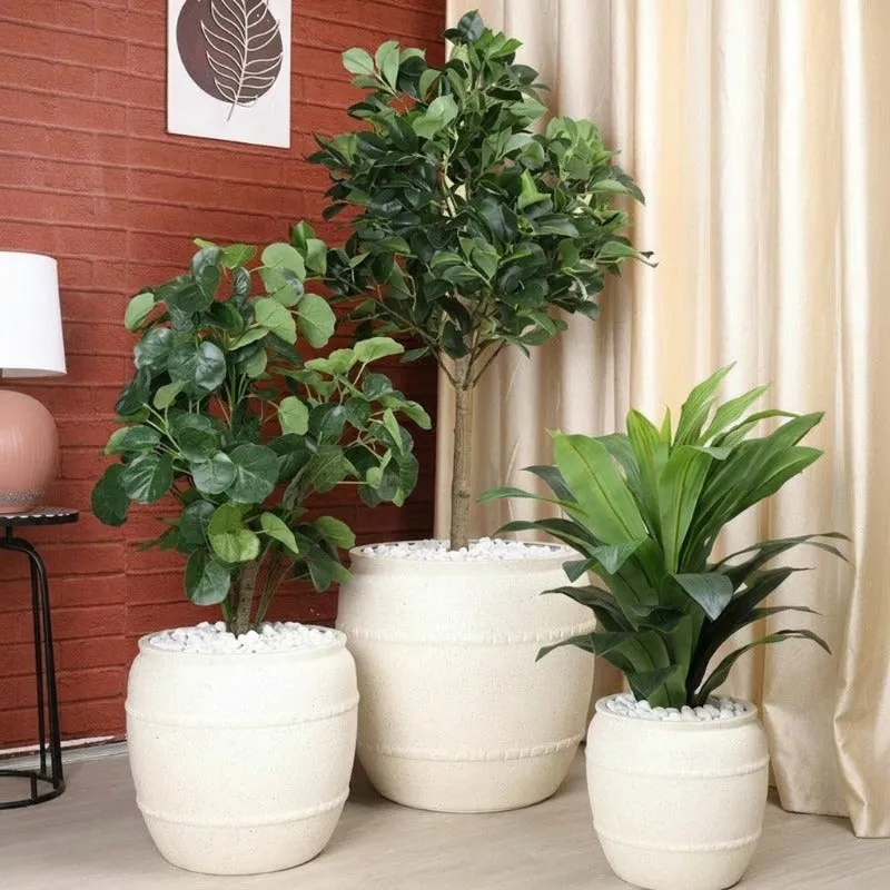 Off-white planters in different sizes styled with plants in an indoor setting