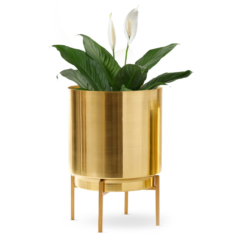 Root Rise Ember Golden Planter With Stand media 9