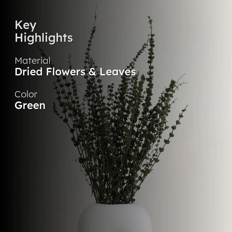 Plato Dried Palm Millet Grass Bunch - Green media 2