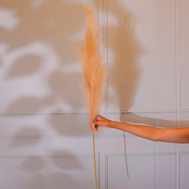 Faux Pampas Grass Stick (Peach) - 35 CM