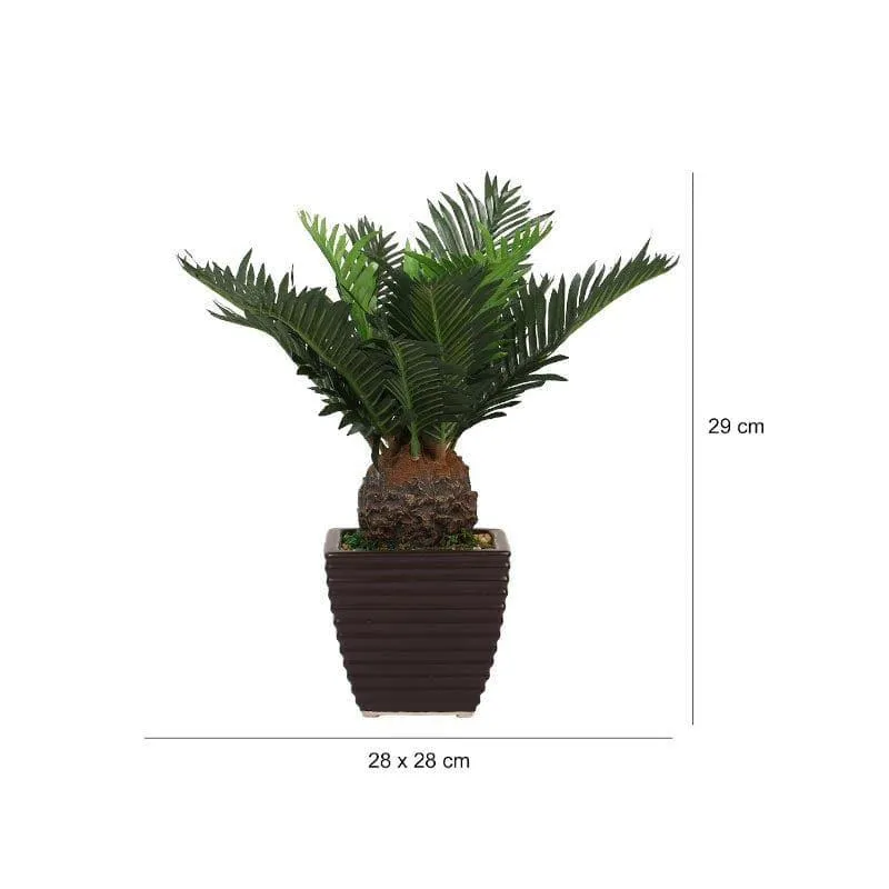 Faux Cycas Bonsai In Ceramic Pot - 33 cms media 4
