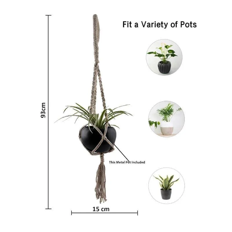 Aurora Macrame Plant Hanger - Large media 4