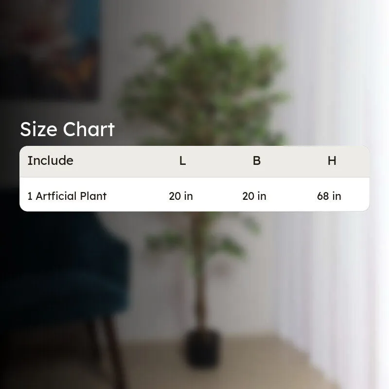 Verdiq Artificial Ficus With Black Plastic Pot - 5.5 Feet media 8