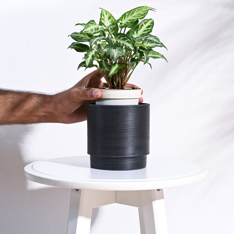 UGAOO Oslo Planter for Home & Balcony Garden- Black media 5