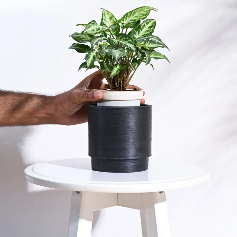 UGAOO Oslo Planter for Home & Balcony Garden- Black media 5