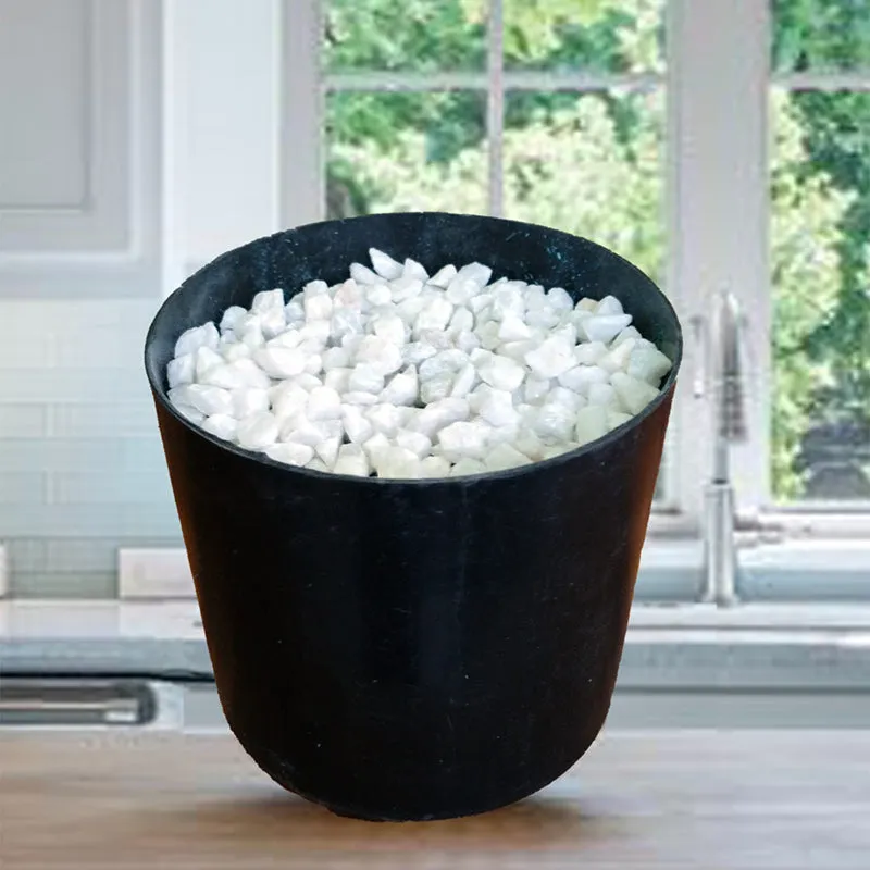 Botanika Artificial Money Plant II With Black Plastic Pot & Pebbles - 2 Feet media 5