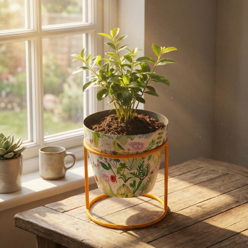 Concrete Metal Planters With Stand - Two Piece Set media 11