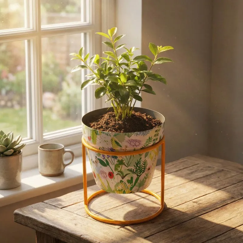 Concrete Metal Planters With Stand - Two Piece Set media 11