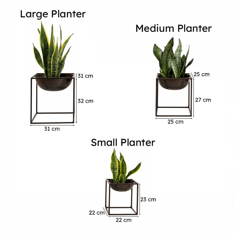 Modern Black Metal Planter Set with Stands - Set of Three media 5