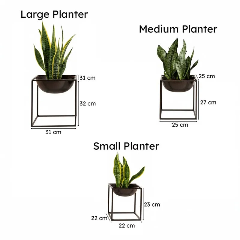 Modern Black Metal Planter Set with Stands - Set of Three media 5