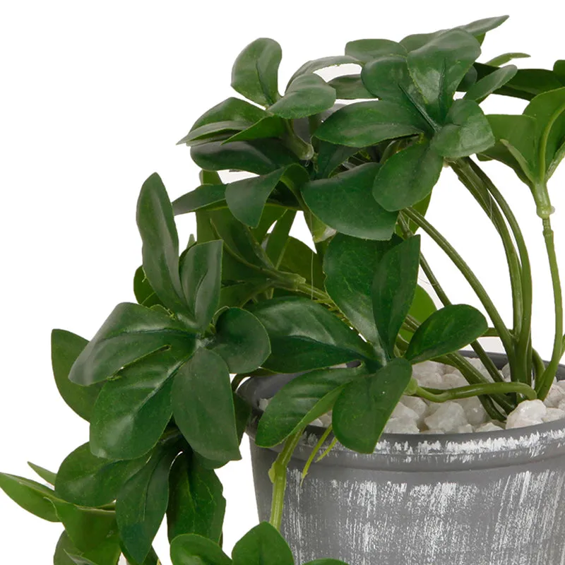 Leafetta Artificial Plant With Black Plastic Pot media 4