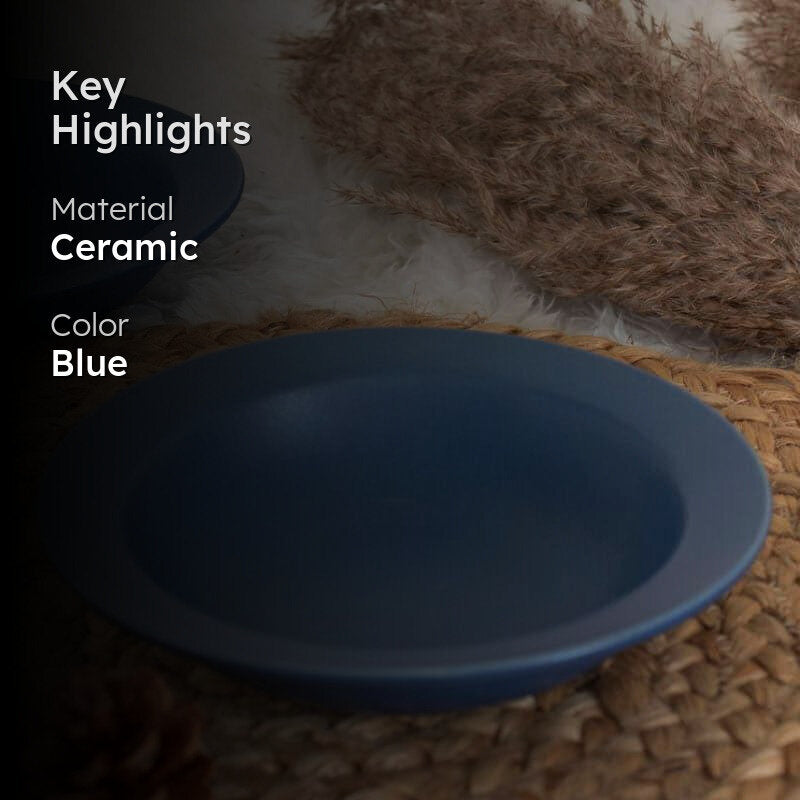 Rubeena Blue Pasta Plate - Set Of Two media 2