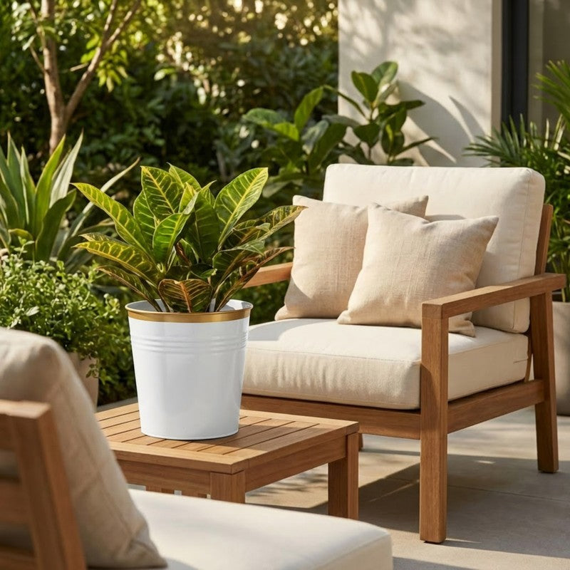 Leafora Iron Planter - White media 6