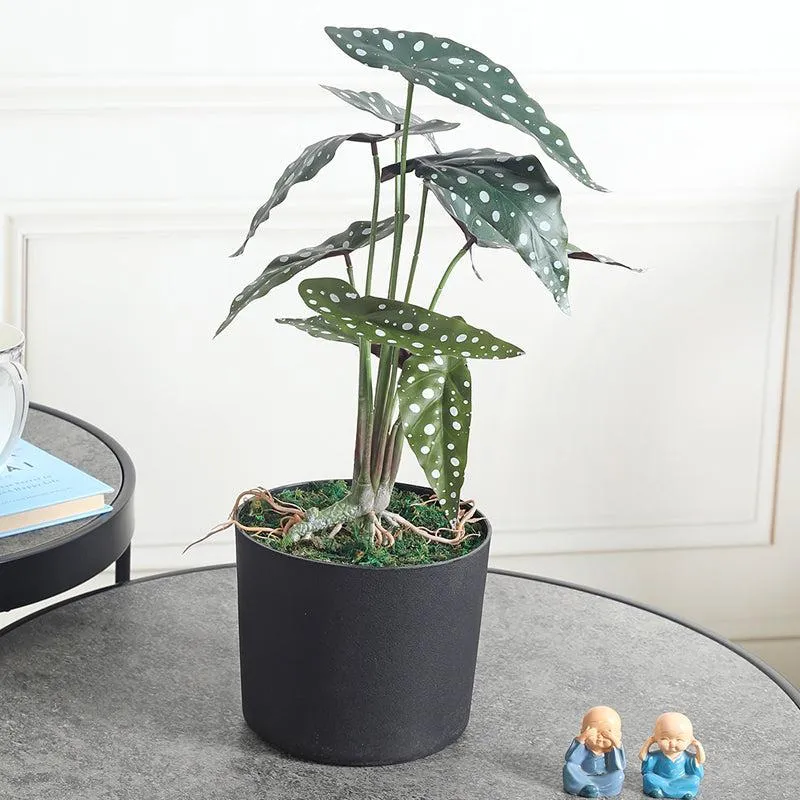 Botanic Bliss Artificial Plant With Black Plastic Pot media 2