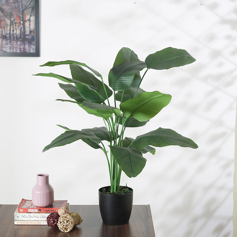 Faux Green Palm Plant With Black Plastic Pot - 2.62 ft media 3