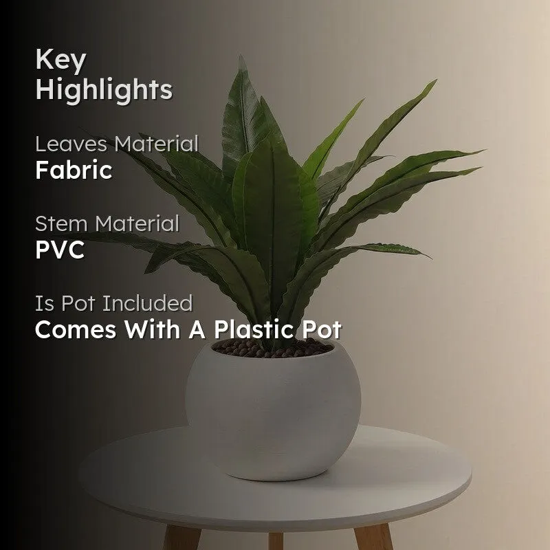 Evergree Touch Artificial Plant With Black Plastic Pot - 1.6 ft media 2