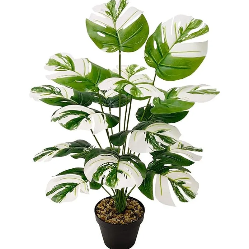 Faux Monstera Variegata Plant With Black Plastic Pot - 2.1 Feet media 4